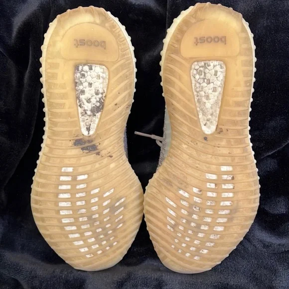 Yeezy Boost Zyon